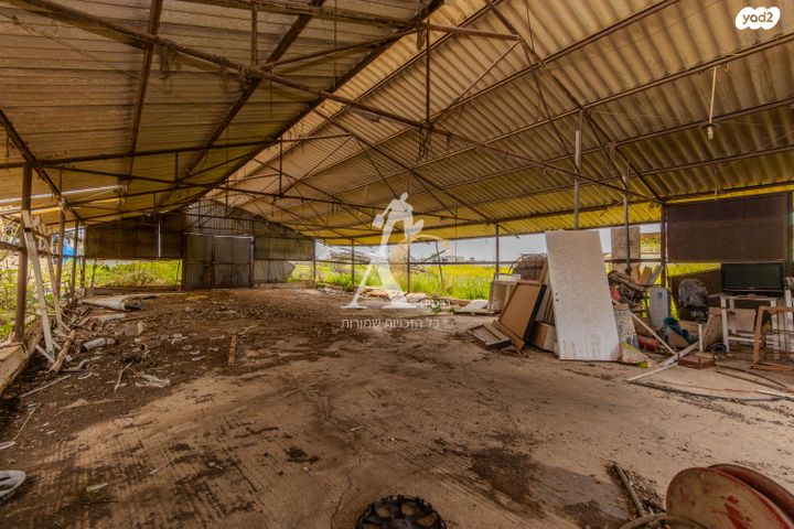 משק חקלאי/ נחלה, מלאה, מלאה