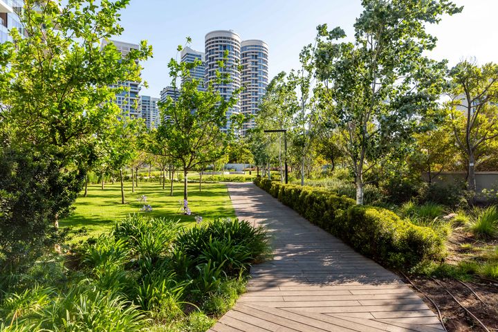 דופלקס, הרב ניסים 9, בבלי, תל אביב יפו