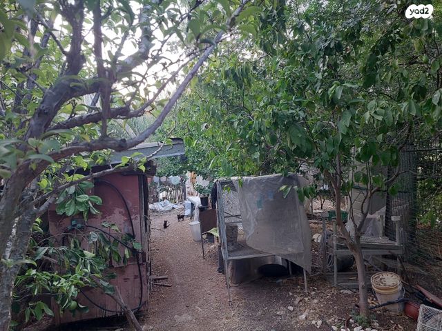 דירת גן, הדוברת 14, פנינת העמק, מגדל העמק