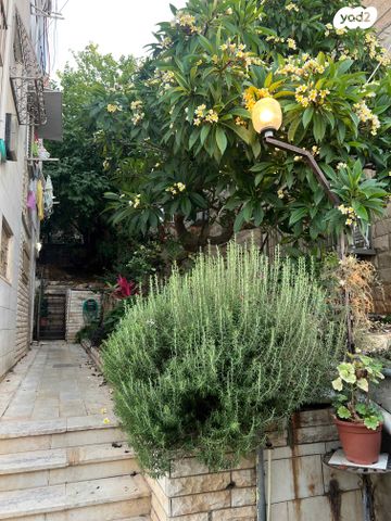 דירה, עבאס, עבאס, חיפה