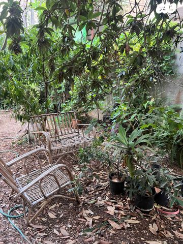 דירה, עבאס, עבאס, חיפה