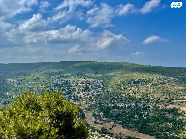שארית הפליטה 