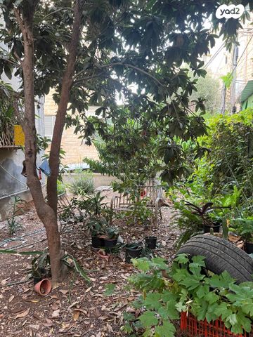 דירה, עבאס, עבאס, חיפה