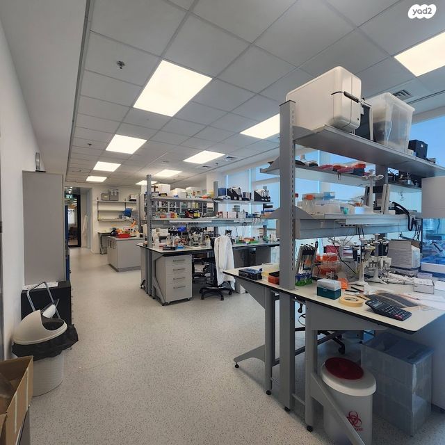 פארק הורוביץ