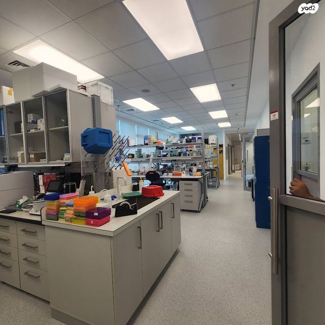 משרדים, פארק הורוביץ, רחובות