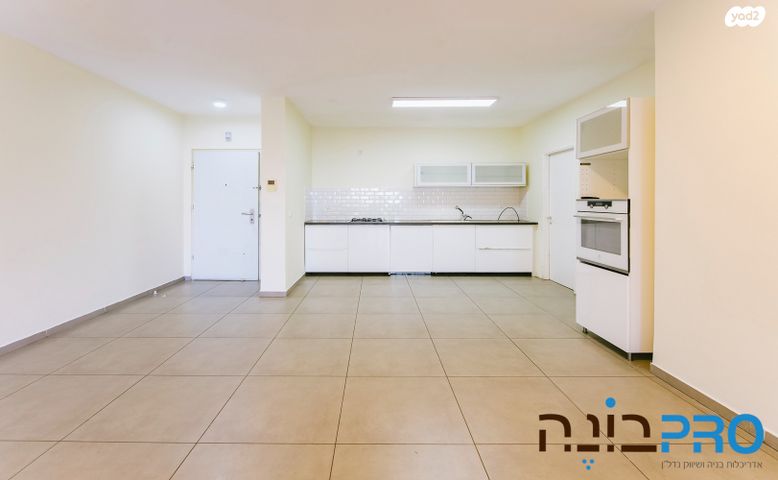 דירה, פרופ' אהרון צ'חנובר, רחובות