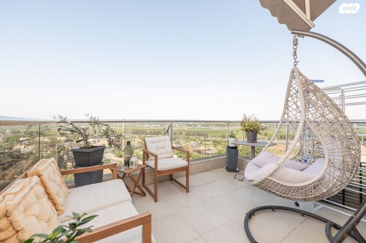 פרופסור שור 5