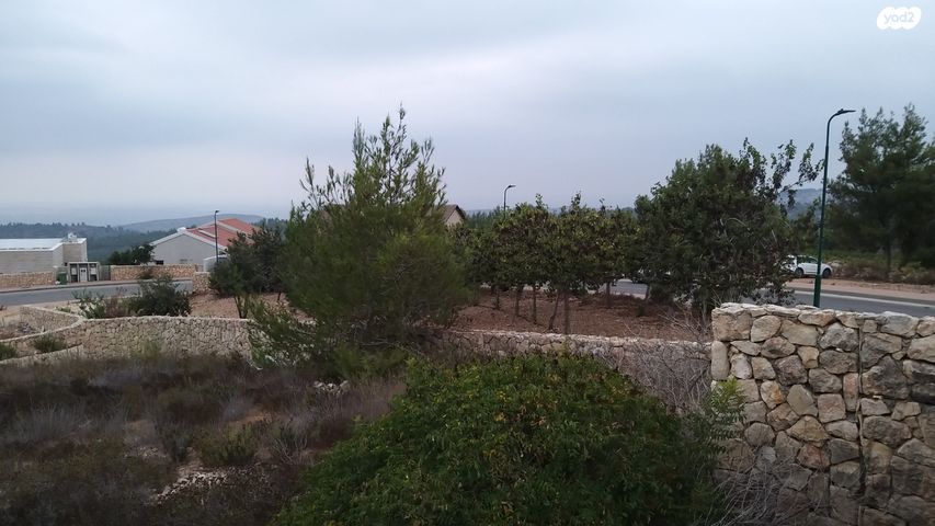 מגרשים, שורש