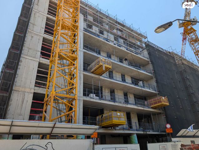 מרים החשמונאית 12