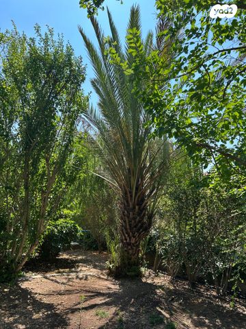בית פרטי/ קוטג', הלולב, קרית יערים, גבעת זאב