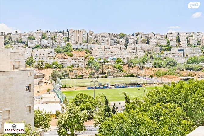 משה קול 