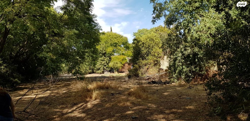 משק חקלאי/ נחלה, התמר, מעלה גמלא