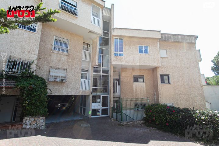 דירה, גבעת דאונס, אחוזה, חיפה