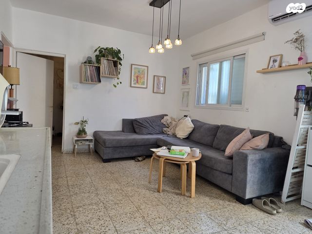 חיים חבשוש 24