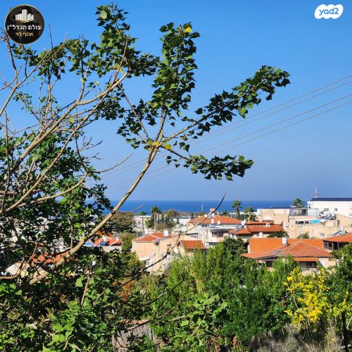 דירת גן, הרב זרביב, רמב"ם, טירת כרמל