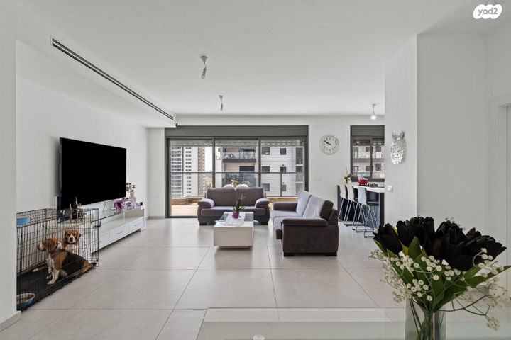 גג/ פנטהאוז, הבה"דים 11, ראשון לציון