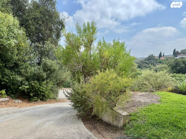 בית פרטי/ קוטג', תמרת