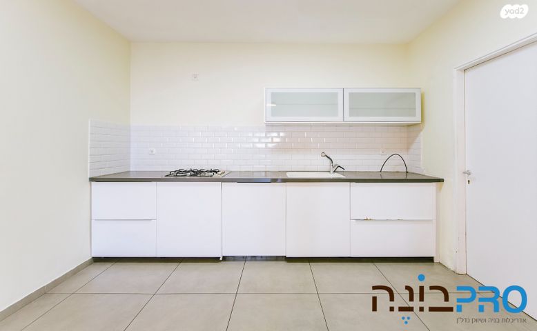 דירה, פרופ' אהרון צ'חנובר, רחובות