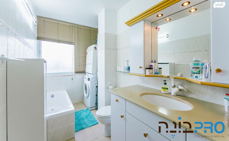 דירה, דוד וולפסון, רמז, מערב ותיק, ראשון לציון