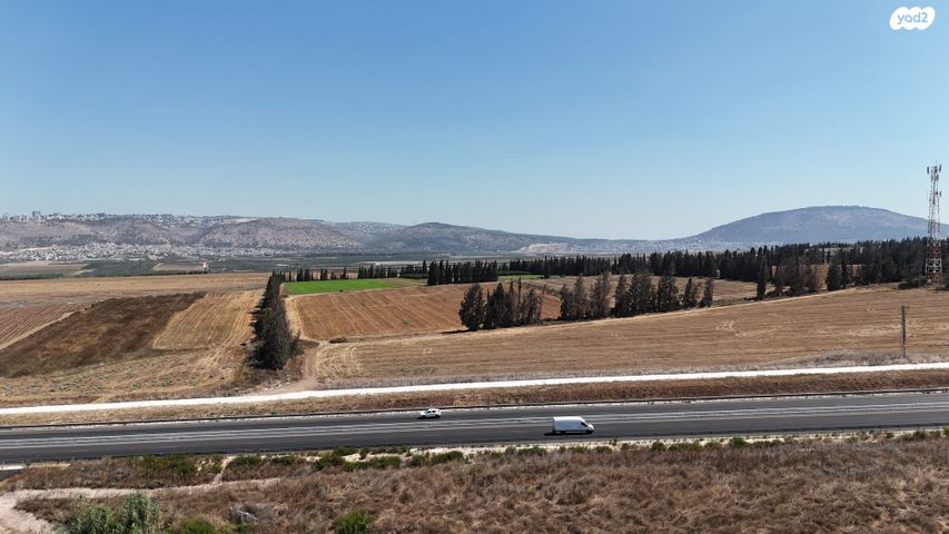 עפולה הצעירה