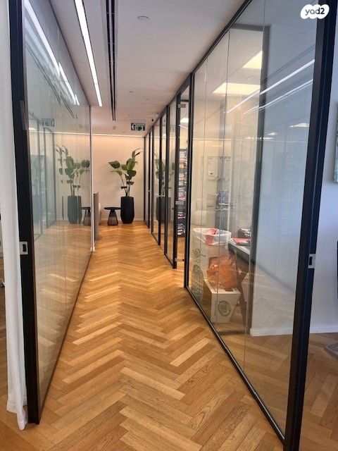 ראול ולנברג 