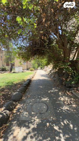 דירה, קצרין