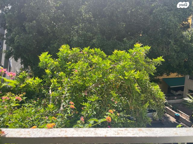 דירה, ביירון, הצפון הישן - דרום, תל אביב יפו