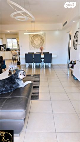 דירה, האלמוג, נופי סלע, מעלה אדומים