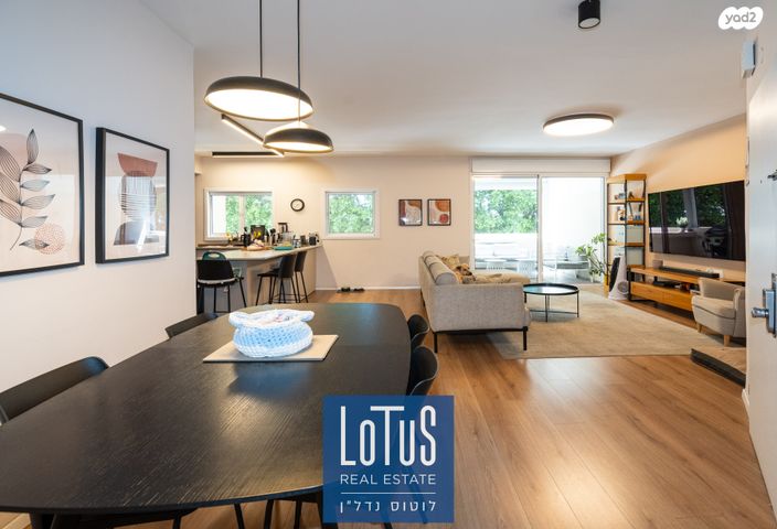 דשה אהרונסון 