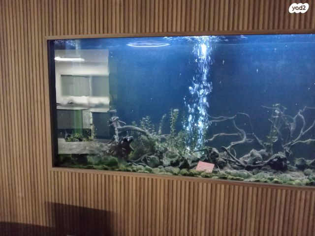 בית פרטי/ קוטג', שאר העיר, חצור הגלילית