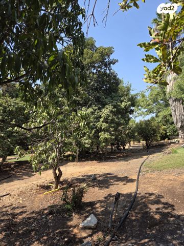 בית פרטי/ קוטג', סביון