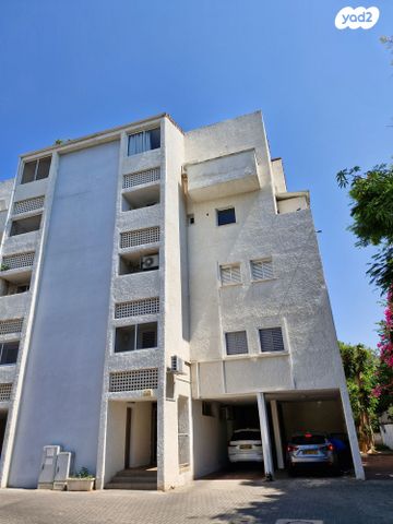 פרופ' דינור 6