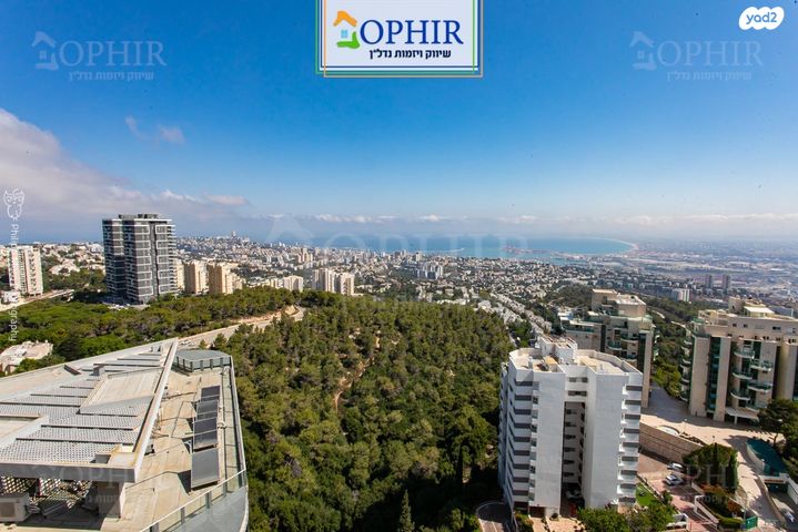 גג/ פנטהאוז, אוסקר שינדלר, סביוני הכרמל, חיפה