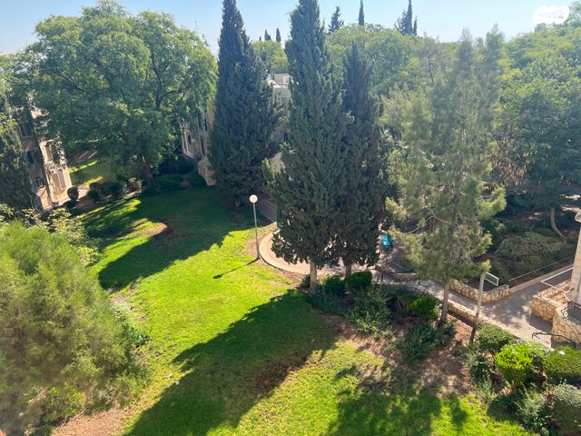 דירה, כלי שיר, מעלה אדומים