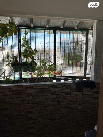 דירה, אופקים