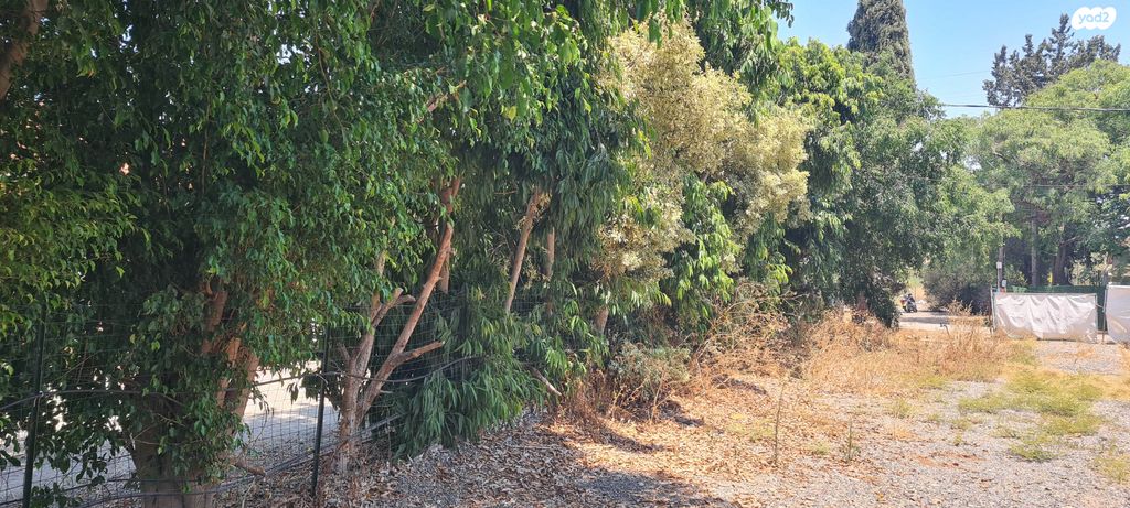 משק חקלאי/ נחלה