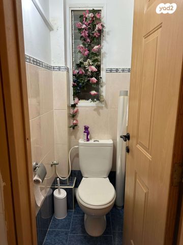 דירה, אופקים