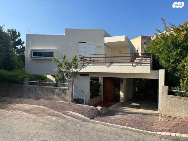 הברושים 4