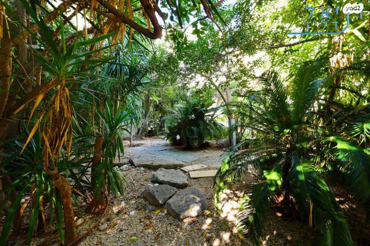 דירה, בארי, הצפון החדש - דרום, תל אביב יפו