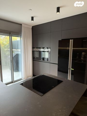 שרה אהרונסון 30