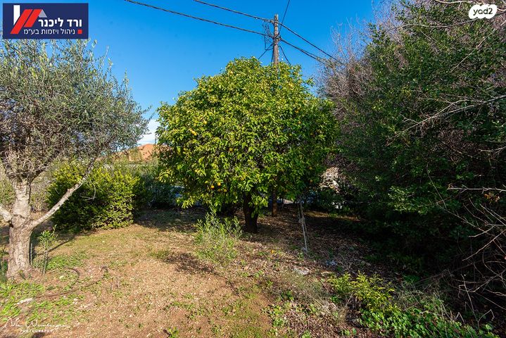 בית פרטי/ קוטג', טבעון הוותיקה, קרית טבעון