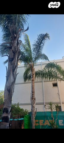 דירה, אור עקיבא