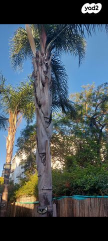 דירה, אור עקיבא