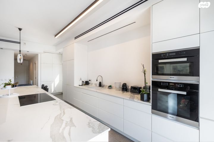 השופט חיים כהן 