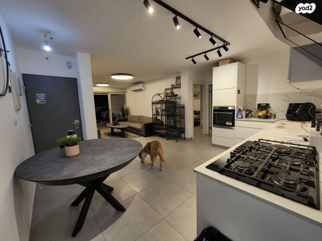 יהודה לייב פינסקר 45