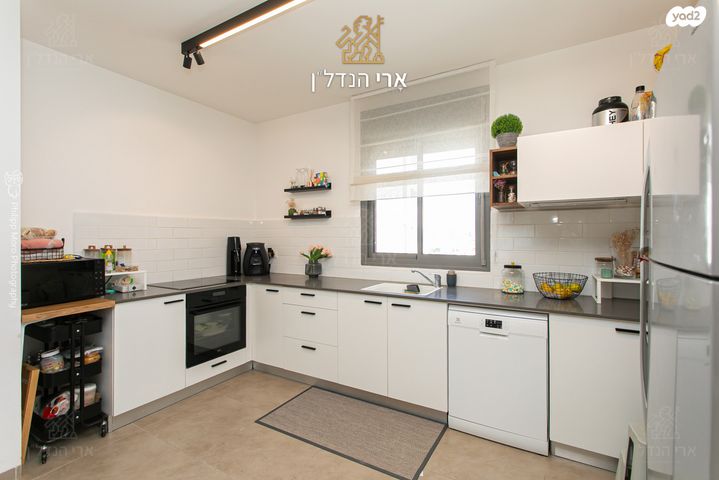 דירה, האנפה, החותרים, טירת כרמל