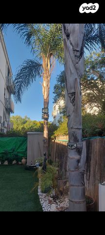 דירה, אור עקיבא