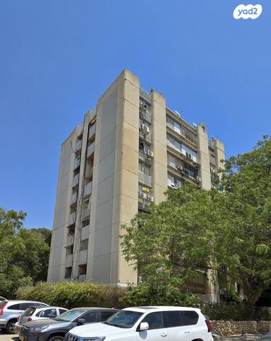 רחבת השל"ה 19