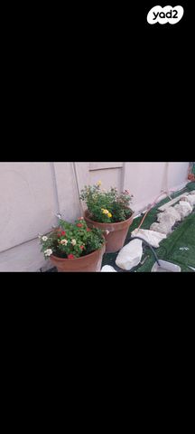 דירה, אור עקיבא