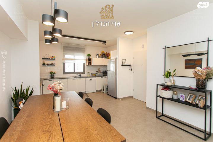 דירה, האנפה, החותרים, טירת כרמל